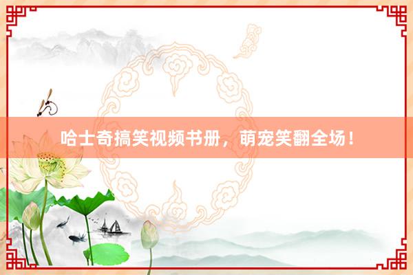 哈士奇搞笑视频书册，萌宠笑翻全场！
